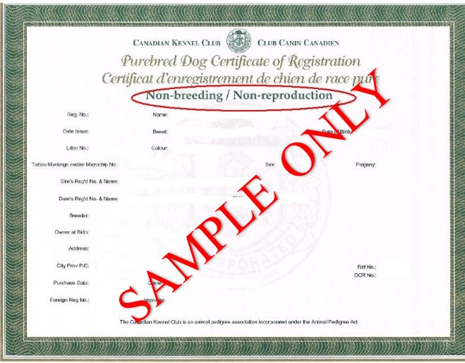 canadian kennel club registered breeders